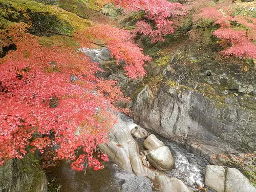 河内渓谷の紅葉