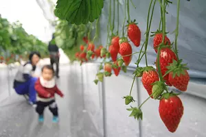 お子様連れも安心の清潔な施設