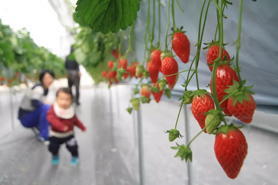 お子様連れも安心の清潔な施設