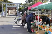 Shirako Morning Market (Ichiroku City) [In front of Ejima Wakamiya Hachiman Shrine]
