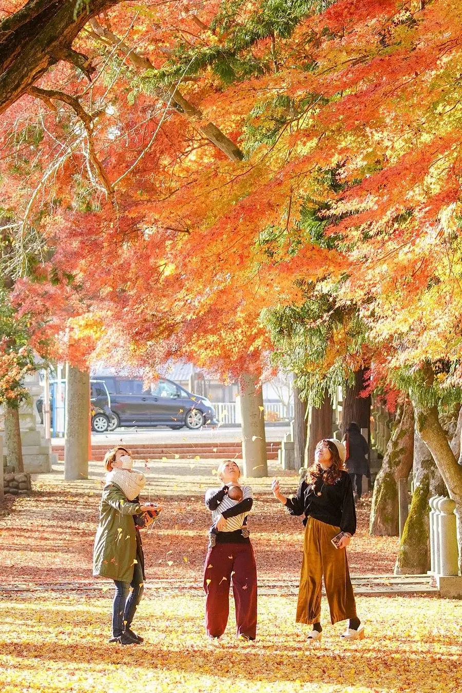 積田神社の紅葉
