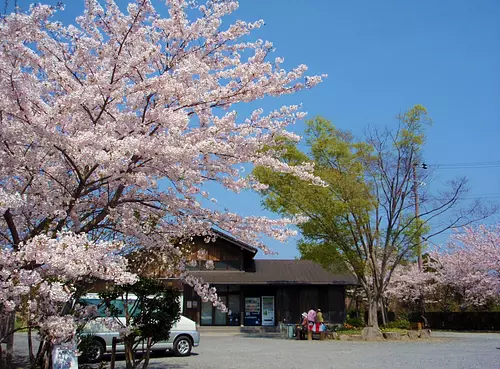 創造の森横山