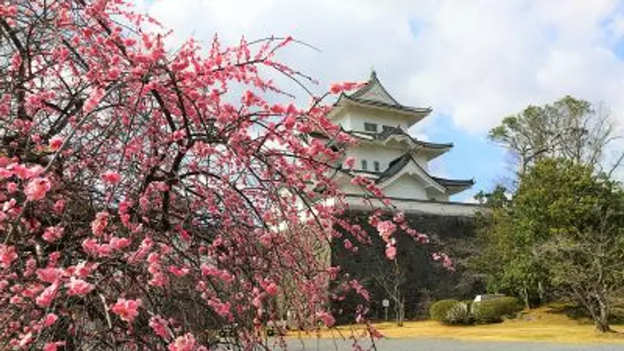 ¡Artículo especial sobre parques y jardines en ciudad de Iga! Presentamos 10 lugares ♪