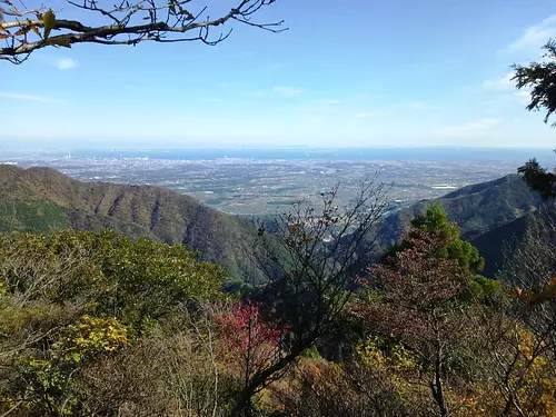 宫指路岳