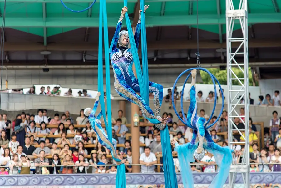 布やストラップを操り優雅に舞うエアリアル