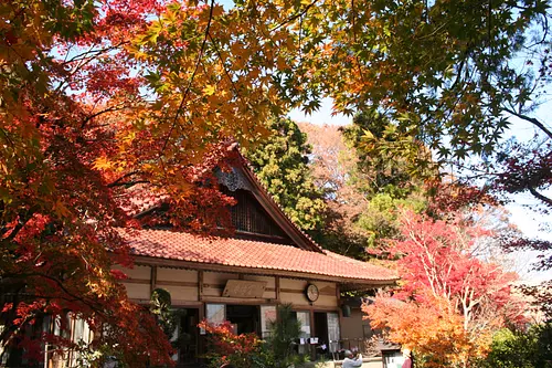 Temple Shohoji