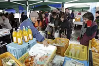 紀の宝みなと市(１１月)