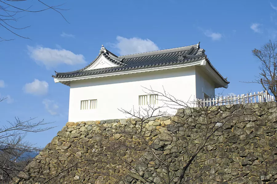 Old Kameyama Castle Tamonyagura