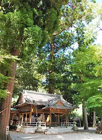 Mizuya Shrine, a power spot with a large oak tree estimated to be 1000 years old