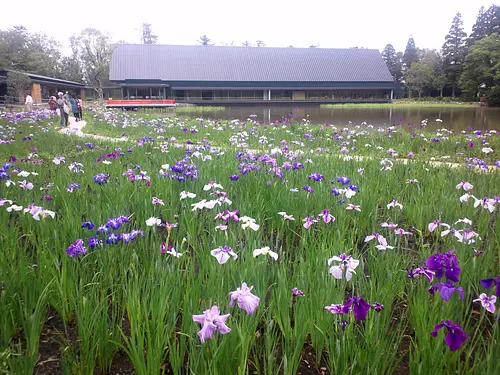 Magatama Pond