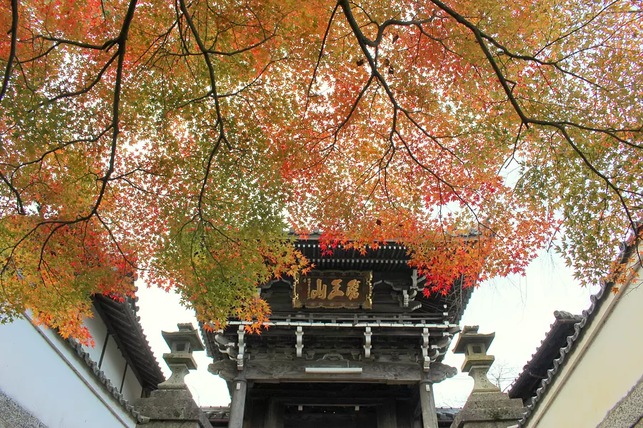 Hojas de otoño en el templo Sairenji