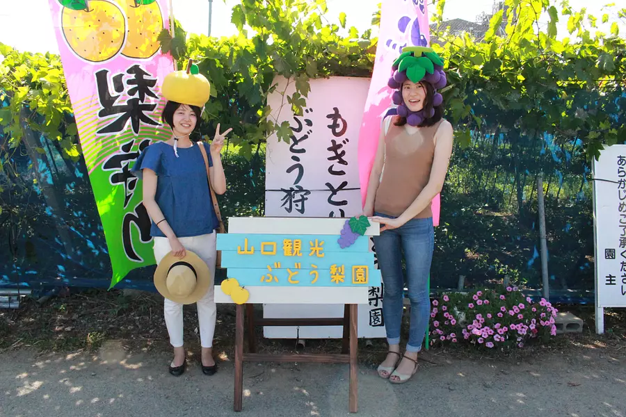 สวนองุ่นและลูกแพร์ยามากุจิ（YamaguchiGrape&amp;PearOrchard）/ เก็บลูกแพร์