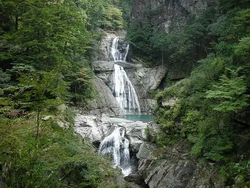 桃の木山の家