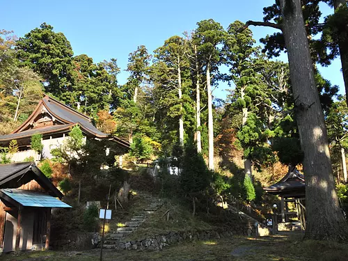 野登寺とブナ林