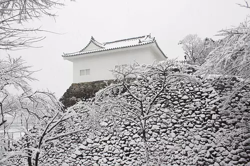 Antiguo Castillo de Kameyama Tamonyagura