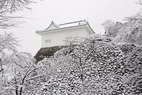 Old Kameyama Castle Tamonyagura