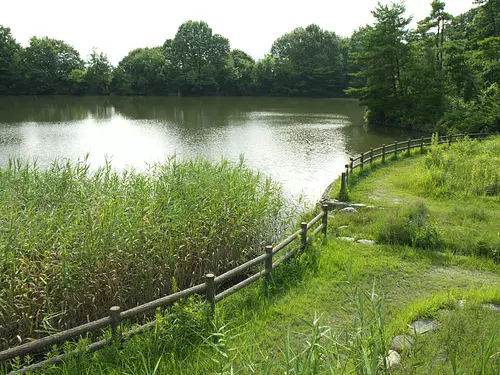 山田溜公園①