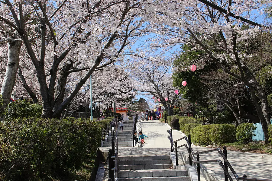 Tsukairaku Park Spring Festival
