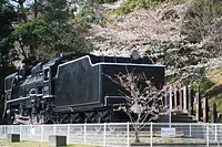 쓰쿠라쿠 공원 봄 축제