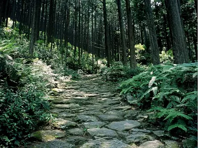 Kumano Kodo Iseji - Sacred sites and pilgrimage routes in the World Heritage Kii Mountains -