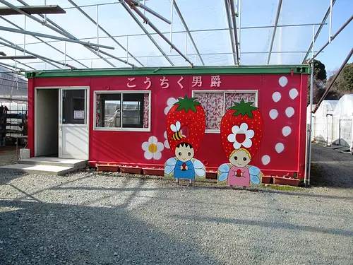 Baron Kochiku Strawberry Farm