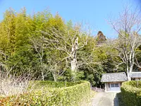 Yakushiji Temple Ruins