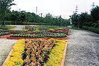 川越緑地公園