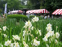 龟山市（KameyamaCity）花卉节