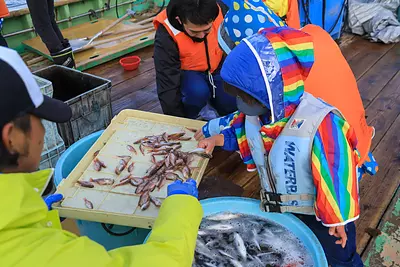 「観光定置網漁モニタリング」は子どもも大人も大興奮な自然体験！漁師さんの船に乗り込み熊野の海へ