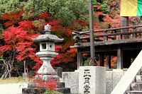 Feuilles d'automne à Shogatsudo
