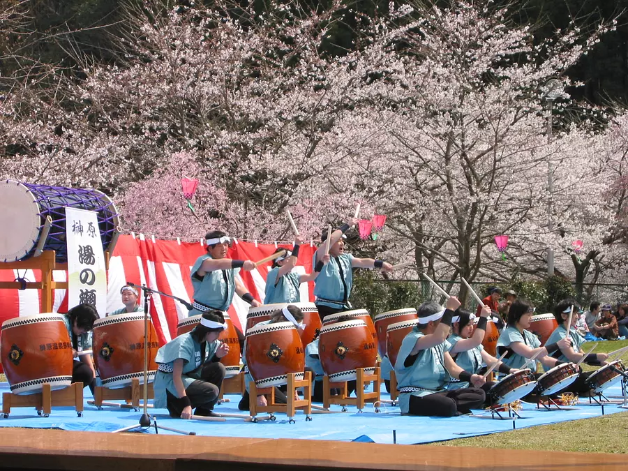Festival de Sakura de Sakakibara Onsen