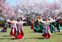 榊原温泉さくら祭り