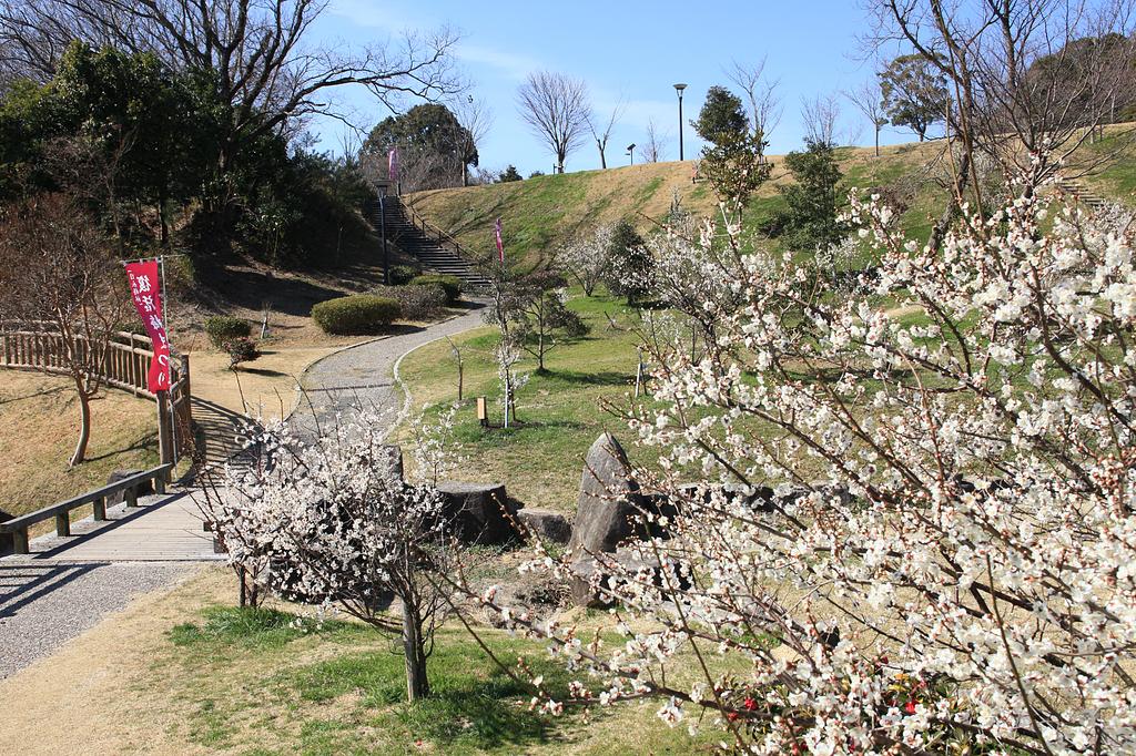 日永の梅林・南部丘陵公園 梅まつり