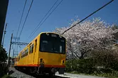 Chemin de fer Sangi/Ligne Hokusei (voie étroite/chemin de fer léger)
