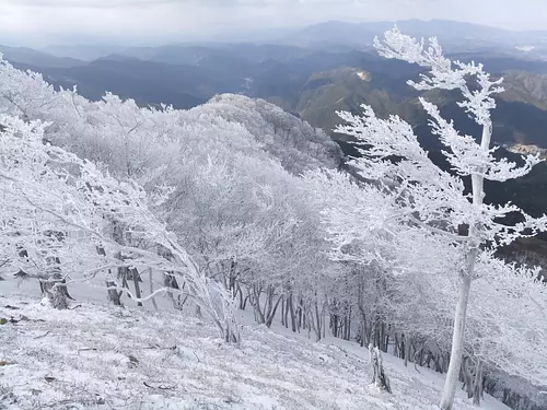 高見山