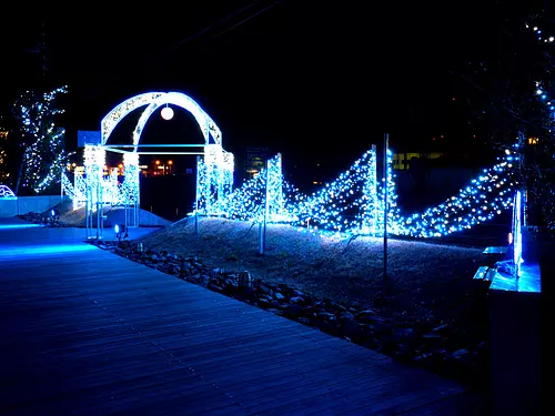 Seagull walking path/illumination ①