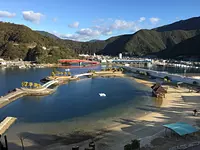 トロピカルガーデン