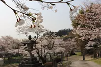 Sakura au sanctuaire Archer
