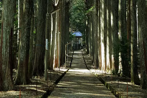 尾高観音①