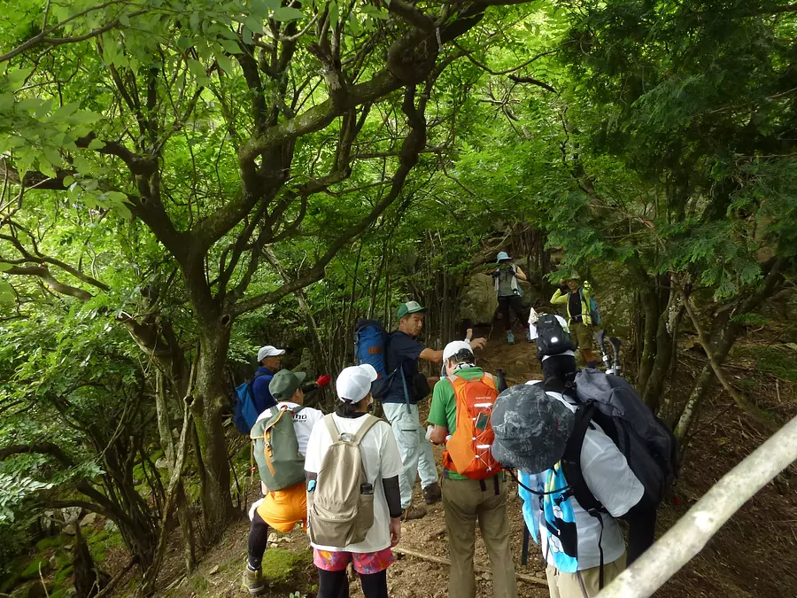 Kameyama 7za Trail