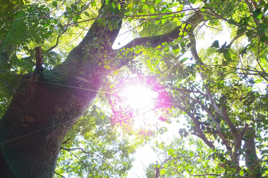 伊勢むすび工房