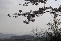 Vista del castillo de Ueno