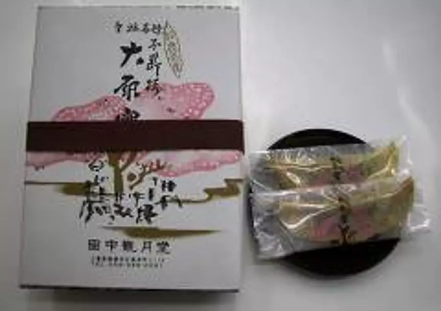 Perpetual Cherry Blossom Minoru Ohara