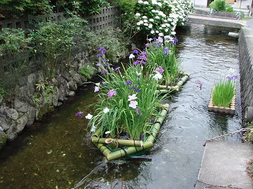 Radeau de fleurs sur la rivière du château