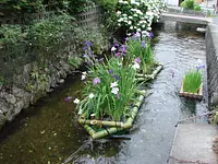 Castle river flower raft