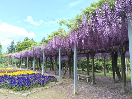 Parc rural de Nohara