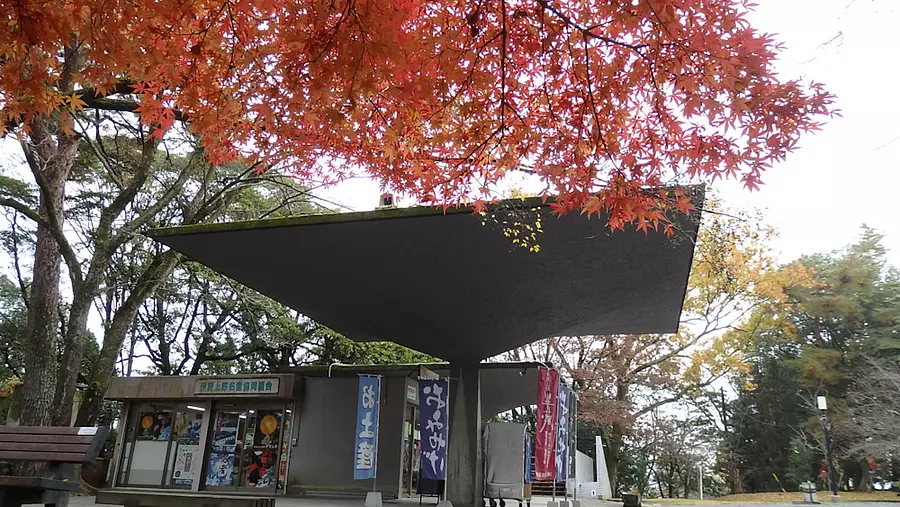 上野公園的紅葉