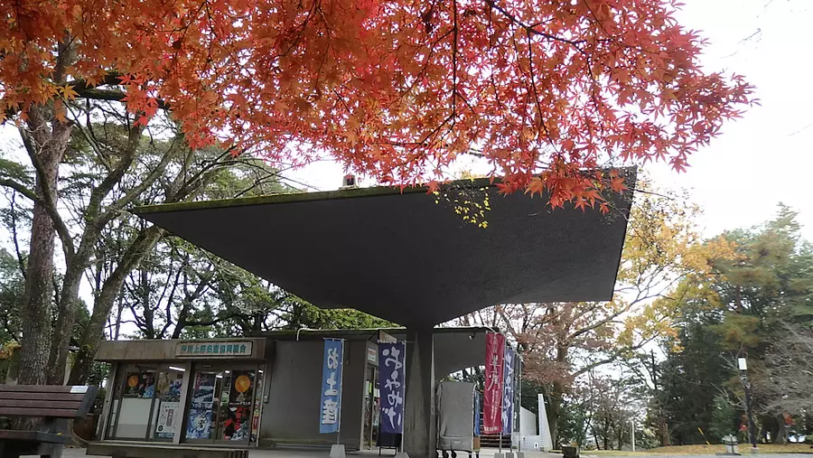 上野公園の紅葉