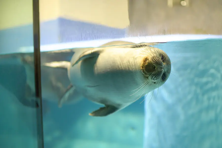 伊勢志摩癒し旅