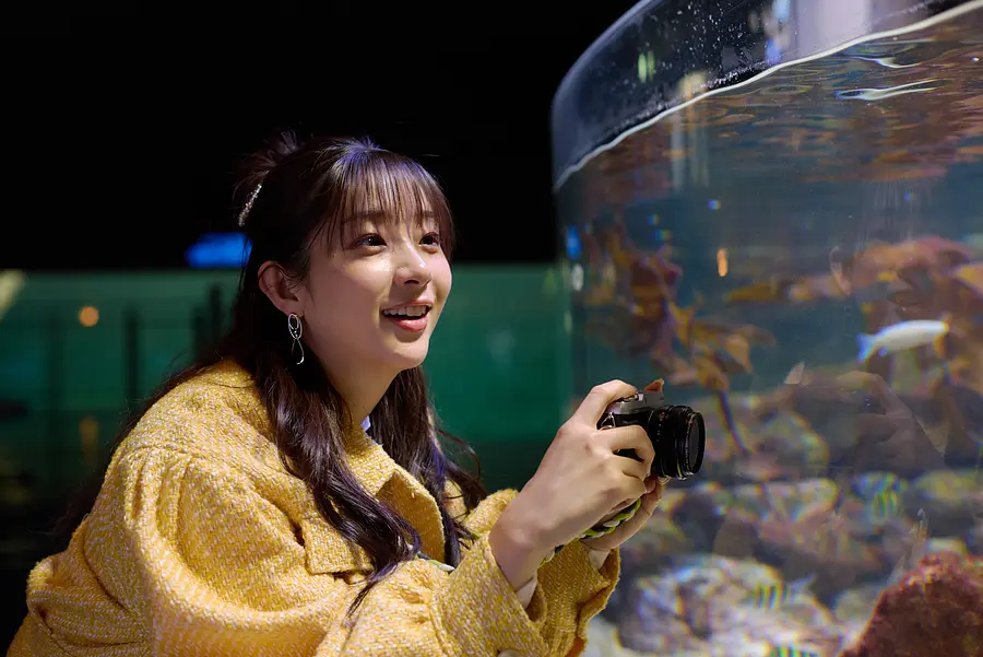 伊勢志摩癒し旅